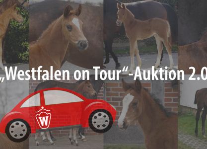 "Westfalen on Tour"-Auction 2.0