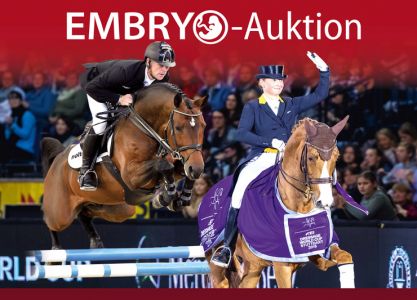 First Westphalian Embryo-Auction