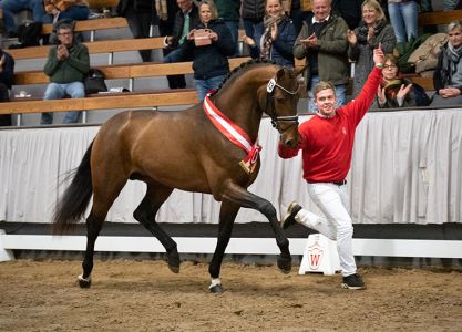 Westphalian Champion stallion 2021