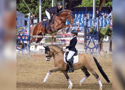 Small horse licensing, December 10 and 11