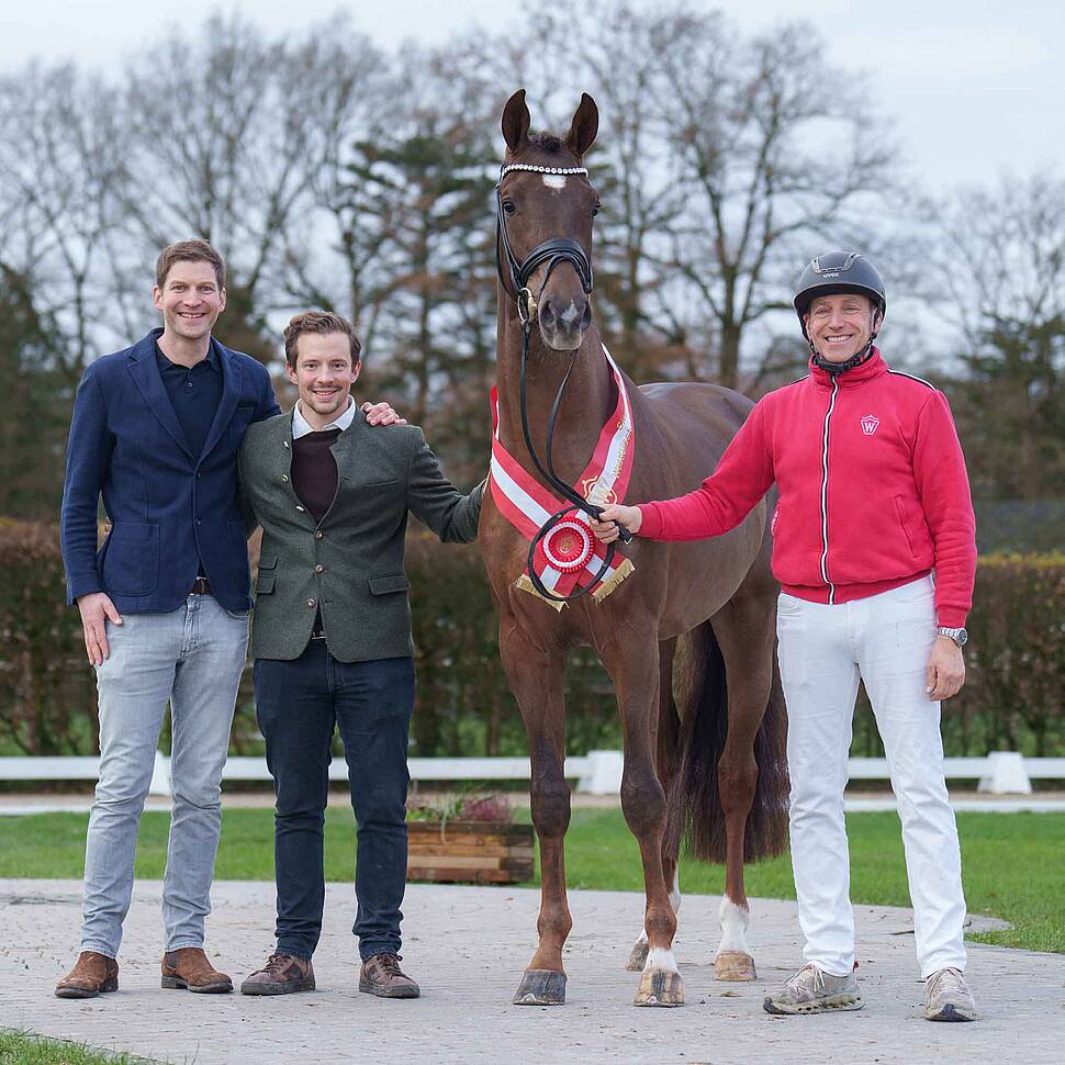 Siegerhengst Dressur 2024