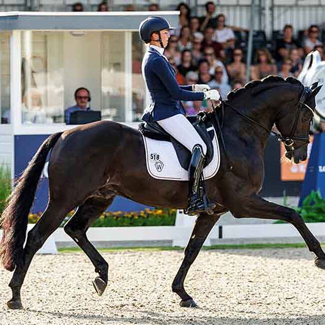 Vize-Weltmeister Glamdale WP