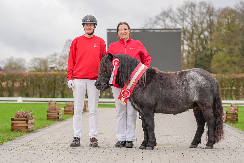 Siegerhengst Shetty über 87 cm 2024 Siegerhengst Shetty über 87 cm 2024