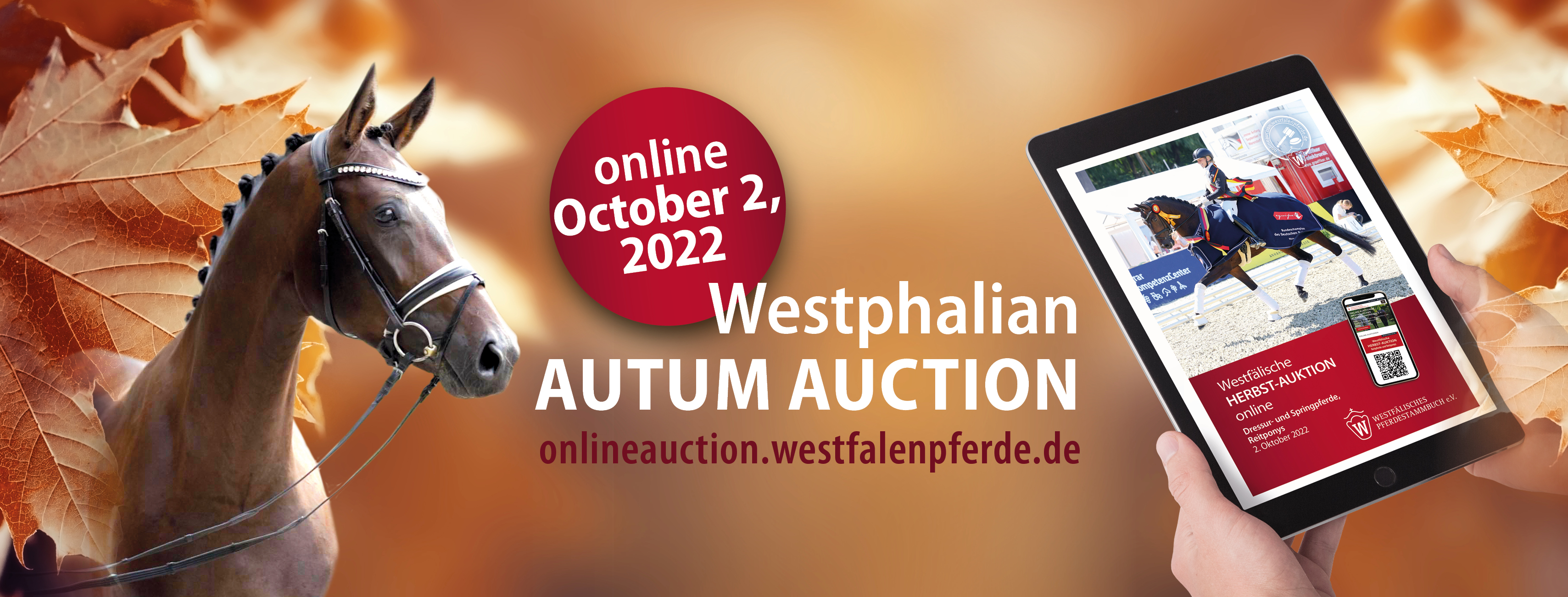 Westfälische Fohlen-Auktionen 2022