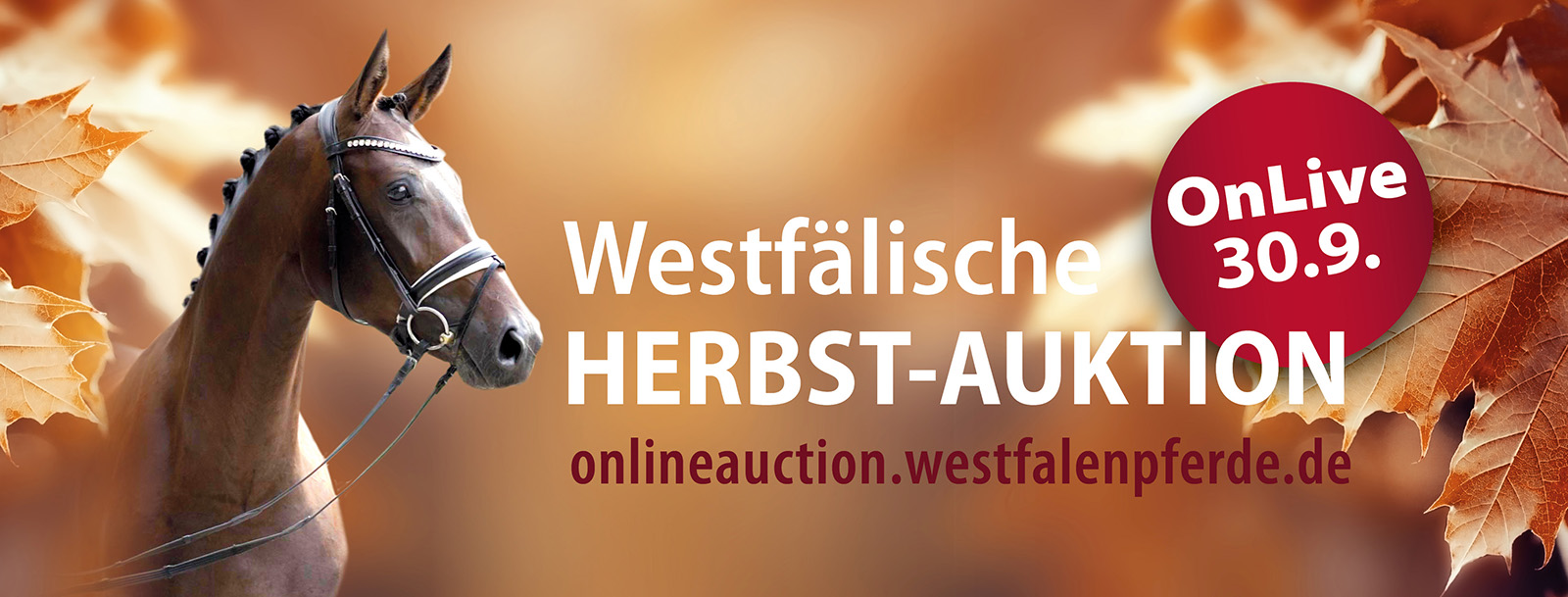 Westfälische Fohlen-Auktionen2022