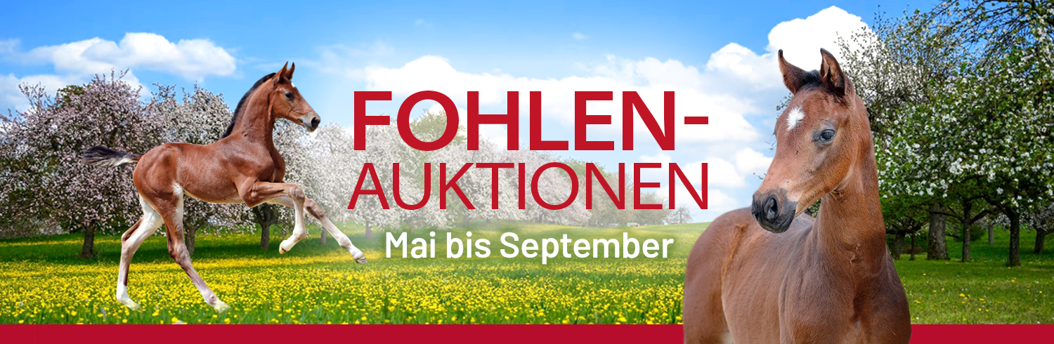 Westfälische Fohlen-Auktionen2022